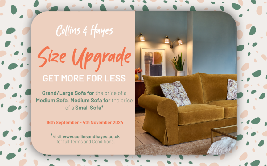 Collins & Hayes Lavinia Sofa Collection **Free Size Upgrade!**